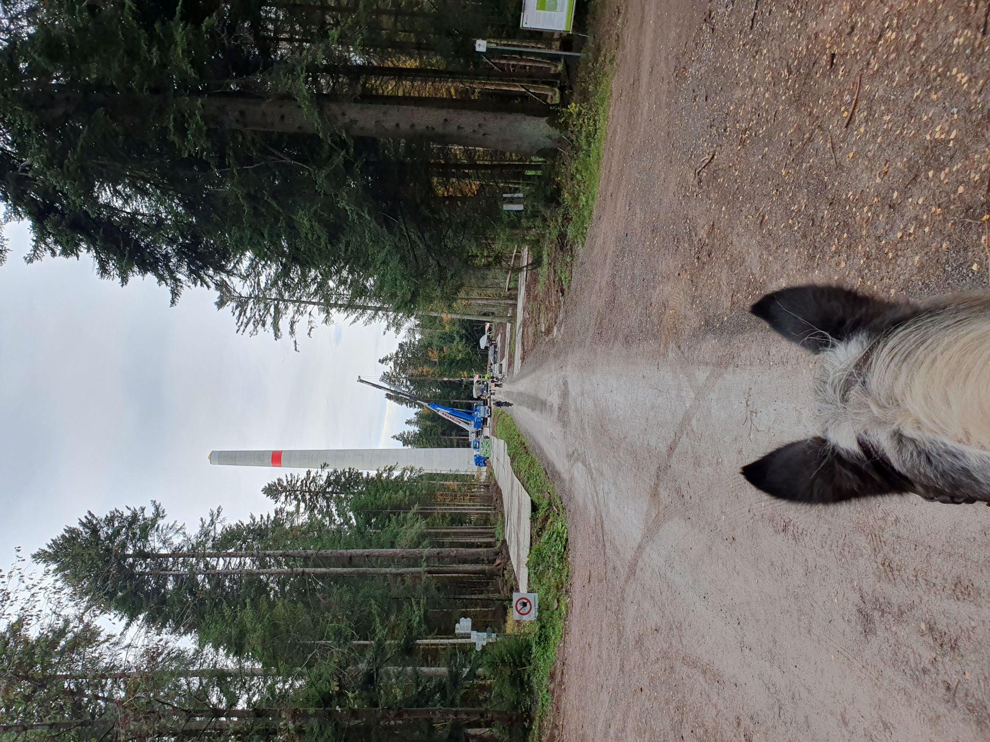 2023 11 November 563